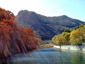 新澳门二四六天天开奖，彩色沥青. 山东佳园景观